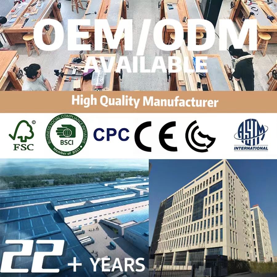 Fabricant d'équipement d'origine/ODM