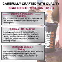 Créatine HMB en poudre, renforcement musculaire et augmentation de la force, formule personnalisée, emballage personnalisé, MOQ flexible, complément nutritionnel sportif