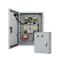 Tableau de transfert de puissance intelligent double alimentation 63A 2P 220V ATS avec fonction de réinitialisation automatique pour la maison