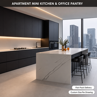 Meubles de cuisine RTA en kit, directement d'usine, sur mesure, avec portes en bois massif, design minimaliste pour appartement et garde-manger