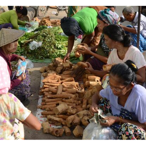 新的整段Thanakha茎生干Thanakha木茎切割 - Product Image 4