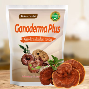 Poudre de champignon Reishi pour soutenir la santé immunitaire et le confort intestinal, Ganoderma <span class=keywords><strong>Plus</strong></span> 100g, emballage personnalisé, vente en gros - Product Image 2