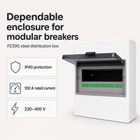 Boîtier de distribution électrique industriel en acier Chint PZ30G, disjoncteur, boîte de commutation à air PZ30G-10 100A 230V/400V