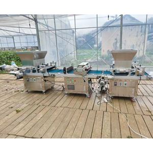Máquina de bandeja de plántulas completamente automática de alta calidad 1-20MM Máquina mezcladora y llenadora de bandejas de sustrato de vegetales y flores - Product Image 3