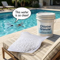 E20260805 Traitement chimique granulaire personnalisable pour piscines, destiné à l'exportation en vrac
