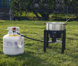 Friteuse à dinde avec panier et brûleur, ensemble de cuisson extérieur 10 Qt avec brûleur de 50 000 BTU, marmite à fruits de mer pour la cuisson de la dinde - Product Image 1