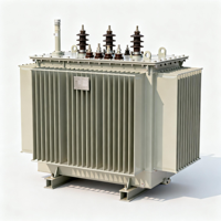 Transformateur de puissance immergé dans l'huile, Variac, transformateur variable, entrée 10 kV, sortie bobine triphasée 380 V/480 V