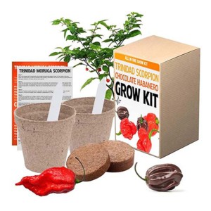 Kit <span class=keywords><strong>de</strong></span> Cultivo Hidropónico <span class=keywords><strong>de</strong></span> Cubos <span class=keywords><strong>de</strong></span> Chile Certificado por la USDA OMRI, Caja <span class=keywords><strong>de</strong></span> Papel <span class=keywords><strong>de</strong></span> Lujo Todo <span class=keywords><strong>en</strong></span> Uno, Regalo Ecológico <span class=keywords><strong>de</strong></span> Venta Caliente, Cultivo <span class=keywords><strong>de</strong></span> Pimientos <span class=keywords><strong>en</strong></span> Casa y Jardín - Product Image 1