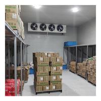 Equipo de Refrigeración Industrial para Cámaras Frigoríficas de Gran Tamaño
