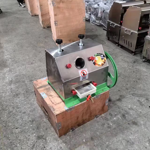 Mini Extractor de Jugo de Caña de Azúcar con Motor, Acero Inoxidable 304, Fácil de Operar - Product Image 1