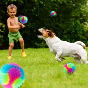 Parlak LED yanıp sönen elastik Spiky evcil interaktif çiğneme sıçrama Spiny gıcırtılı Molar köpekler topu - Product Image 2