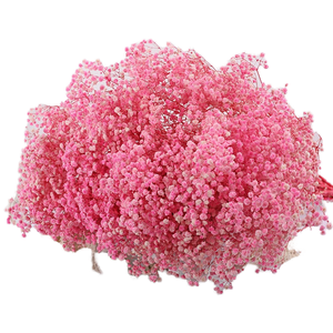 Vente en gros de fournitures de <span class=keywords><strong>fleuriste</strong></span> fleurs conservées souffle de bébé fleurs décoratives intérieures pour la décoration intérieure - Product Image 1
