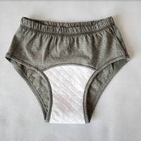 Japanische Größe 100CC Inkontinenzunterwäsche für Senioren aus Baumwolle mit TPU-Wasserschutz, austauschbare Windel, mittlere Taillenhöhe, waschbarer Slip