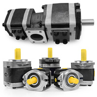 Pompe à engrenages interne IPC/IPVP/IPV4-/13/16/25/32-101/171 IPV5/-64/171 Pompe hydraulique à engrenages