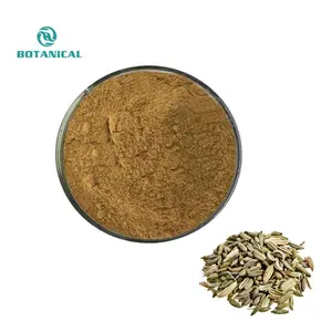 B.C.I Supply High Quality Sweet Fennel Seeds Extract Fennel Seed Powder Importers Foeniculi Fennel Extract