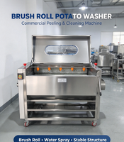 Duurzame industriële elektrische sinaasappel- en aardappel schilmachines, automatische borstelwasmachines voor fruit en groenten