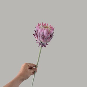 ดอกโปรเทียประดิษฐ์ CallaFloral สีขาวนม สีม่วงแชมเปญ งานแฮนด์เมด สำหรับตกแต่งงานแต่งงาน - Product Image 2