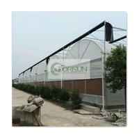 Dorisun agricultura tomate película comercial invernadero aluminio grande poli alto túnel marco invernadero