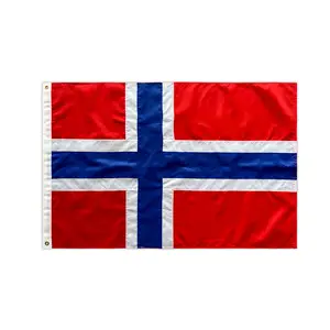 卸売ポリエステル3X5FTすべての国旗90X150cmノルウェー国旗