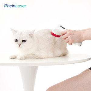 Dispositivo de Terapia Láser LLLT de Clinic Effective para Alivio del Dolor en Caballos, Perros y Gatos, Recuperación de Lesiones - Product Image 3