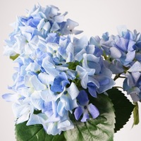 Cabeza de Flor de Hortensia Artificial con Tacto Realista, para Decoración de Paredes de Boda, Fondo para Despedida de Soltera, Flores al por Mayor