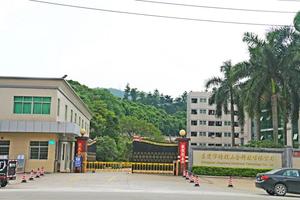 カスタムヌードルカッターパスタメーカーアタッチメントパスタローラーパスタメーカースパゲッティメーカー - Product Image 6