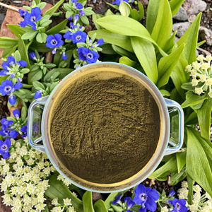 100% натуральный травяной экстракт: порошок цветков хмеля с содержанием ксантогумола 2%, 3%, 5%, 10% – продукт для здоровья, протестировано методом TLC, фасовка в барабанах - Product Image 4