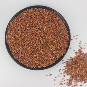 Bán Trực Tiếp Từ Nhà Máy Hạt Củ Cải/Hạt Củ Cải/Thực Phẩm Hữu Cơ Nguyên Chất Lượng Cao - Product Image 4