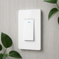 Interrupteur mural intelligent WIFI Hantu Electric US Standard DS-122 10A 240V en ABS, compatible avec l'application Smart Life et la commande vocale Alexa/Google Home