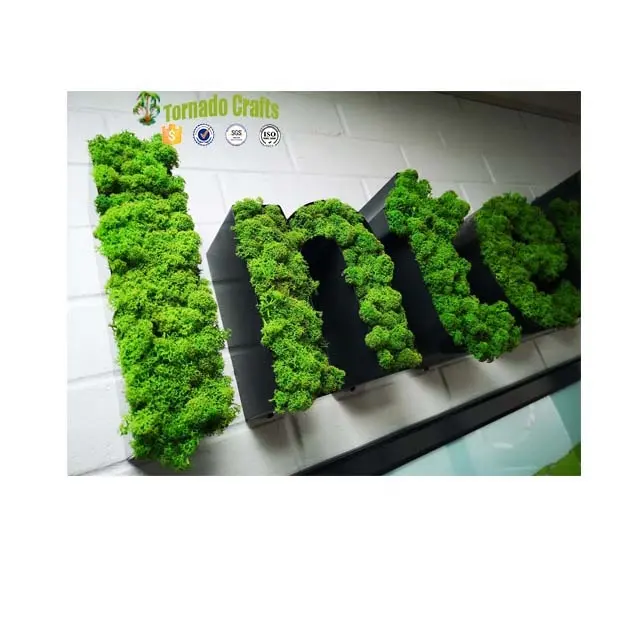 Kapalı dekoratif yosun 3D bitki mektubu plastik yapay yosun çim duvar
