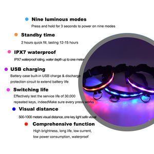 Luz nocturna ajustable mascota perro gato perro luz de seguridad flash collar 2023 recargable LED luz perro mascota collar hecho en <span class=keywords><strong>China</strong></span> - Product Image 4