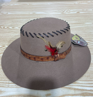 NL117 Einzigartiger Woll-Fedora-Hut im Ethno-Stil mit breiter Krempe, warm für den Winter, neues Design