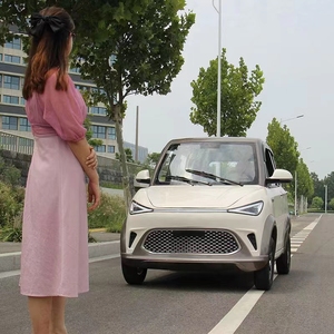 ミニ電気自動車天才モデル工場から売れ筋 - Product Image 2