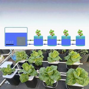 Maßgefertigtes 20L DWC Deep Water Culture Hydroponik-System mit Pumpe aus Kunststoff PP für den Innenbereich - Product Image 3