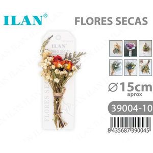 Fiori Secchi ILAN, Bouquet Decorativo di Circa 15 cm - Product Image 3