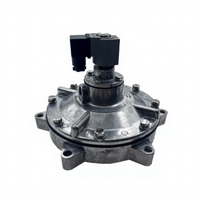CA76MM CA76MM040-300 305 Katup Pulsa Terendam Bertenaga Solenoid untuk Pengumpul Debu Diafragma Gas K7600 CA76MM010-305