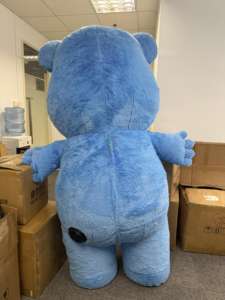 2m cầu vồng gấu màu xanh Inflatable chăm sóc gấu chủ đề bên trẻ em chạy Inflatable lông sang trọng Linh Vật Trang phục chăm sóc Gấu - Product Image 6