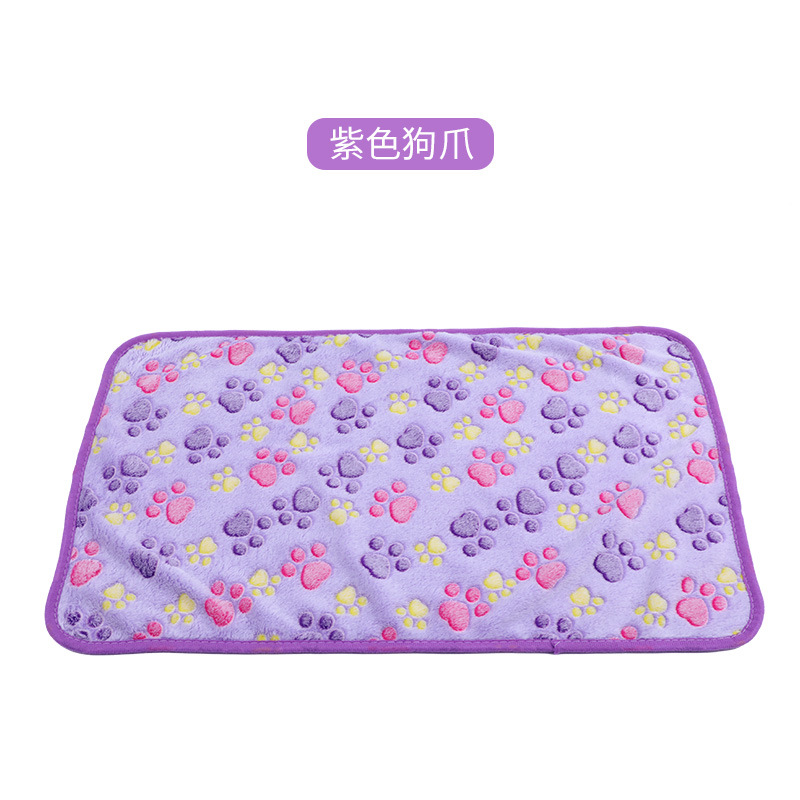 Patte violette