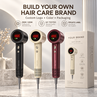 Sèche-cheveux ionique haute vitesse 1500W avec moteur DC sans balais, 3 vitesses, séchage rapide, pour salon de coiffure, vente en gros, OEM, marque privée, personnalisable