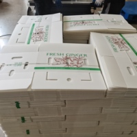 Boîte d'emballage en plastique ondulé pour légumes et gingembre, imperméable, écologique, en PP, réutilisable, empilable, légère