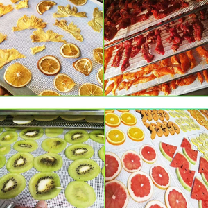 Không dính cao cấp Silicone dehydrator mat cao cấp Silicone mất nước tấm trái cây máy sấy Máy nướng bánh công cụ - Product Image 5