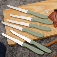 Ensemble de 6 couteaux à steak dentelés pour le camping et la randonnée, lame en acier inoxydable, manche en PP, boîte de voyage portable
