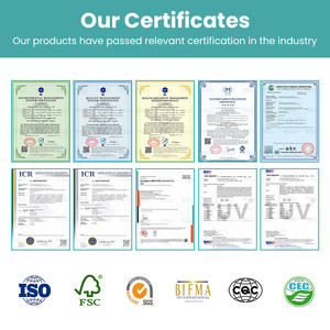 Fabricante de Escritorios de Pie de Lujo, Pedidos al por Mayor, Escritorio Eléctrico en Forma de L para Trabajar de Pie o Sentado, Espacio de Colaboración para Equipos Creativos, OEM ODM - Product Image 6