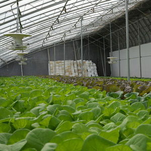 Invernadero Comercial para Cultivo de Vegetales de Hoja Americana de 10x40m |   Sistema Hidropónico con Riego Automático |   para lechuga - Product Image 3