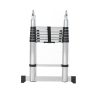 Échelles télescopiques combinées en alliage d'aluminium modernes de qualité commerciale Anta, capacité de 150 kg, design pliable multifonctionnel, CE