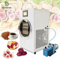 Fruitdroogapparatuur Liofilisator Koffiedroger Thailand Casero Vriesdroogmachine voor voedsel Commercieel