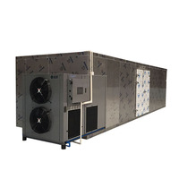 Elektrische KINKAI Hoge Efficiëntie Continue Mesh Belt Groente- en Fruitdroogmachine (3,2-15,6 kW 20 kg/u capaciteit PLC-gestuurd CE-gecertificeerd)