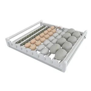 Incubateur à 54 œufs à contrôle automatique HHD 2024 avec température et humidité