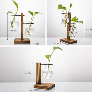 Supporto in Legno Massiccio Moderno Retrò con Nuovo Vaso in Vetro Trasparente Terrario Vaso da Tavolo <span class=keywords><strong>per</strong></span> Propagazione Idroponica - Product Image 3