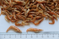 Nourriture pour poissons tortueaux et crevettes 100% naturelle séchée au soleil, écologique, riche en protéines, alimentation premium pour animaux de compagnie, santé de la peau et du pelage